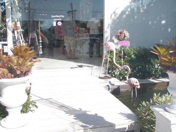 PA230293.jpg